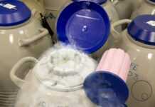 Κατάψυξη ωαρίων: Η επιστήμη δίπλα στη γυναίκα