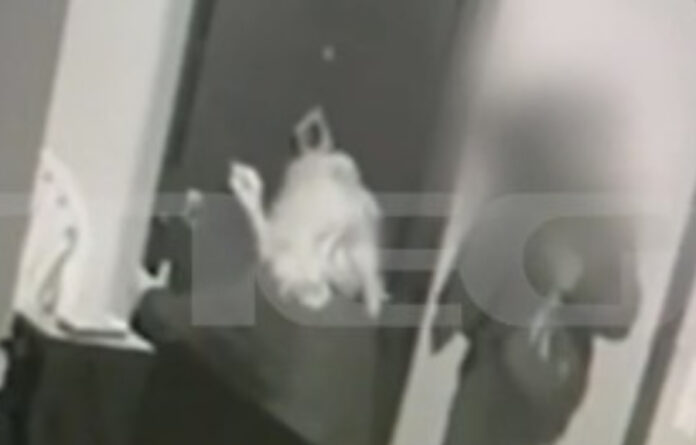 8262e74cbae4b2d4f86686892208239a_L